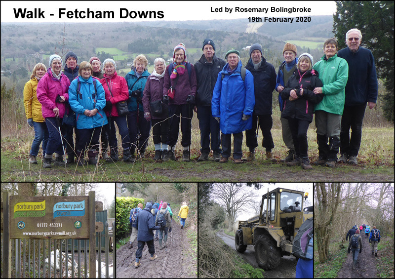 Walk - Fetcham Downs and Norbury Park - 19th February 2020